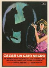 Cazar un gato negro