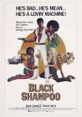 voir la fiche complète du film : Black Shampoo
