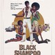 photo du film Black Shampoo
