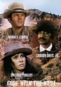 voir la fiche complète du film : Gone with the West
