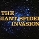 photo du film L'Invasion des araignées géantes