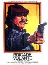 voir la fiche complète du film : Brigade volante