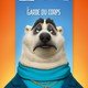 photo du film Zootopie