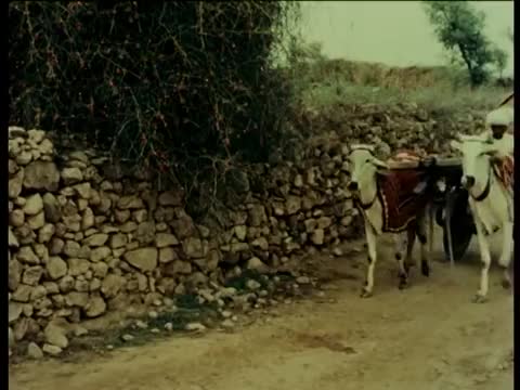 Extrait vidéo du film  Duvidha (Le Dilemme)