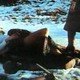 photo du film Cannibal girls