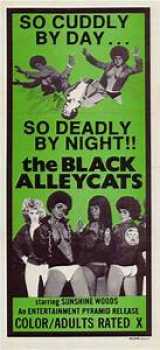 voir la fiche complète du film : Black Alley Cats
