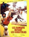 voir la fiche complète du film : Les rangers défient les karatékas