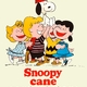 photo du film Snoopy Come Home