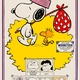 photo du film Snoopy Come Home