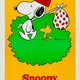 photo du film Snoopy Come Home