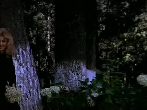 Extrait vidéo du film  Cats