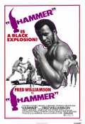 voir la fiche complète du film : Hammer