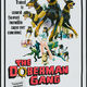 photo du film Le gang des doberman