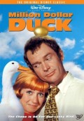 voir la fiche complète du film : The Million Dollar Duck