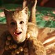 photo du film Cats