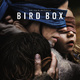photo du film Bird Box