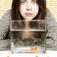 photo du film Carrie Pilby
