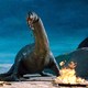 photo du film Quand les dinosaures dominaient le monde