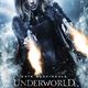 photo du film Underworld : Blood Wars