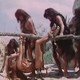 photo du film Quando le donne avevano la coda