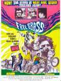 voir la fiche complète du film : Scream Free!