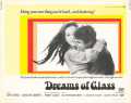 voir la fiche complète du film : Dreams of Glass