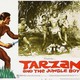 photo du film Tarzan and the Jungle Boy