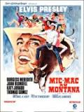 voir la fiche complète du film : Micmac au Montana