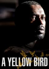 voir la fiche complète du film : A yellow bird