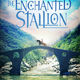 photo du film Albion : the enchanted stallion
