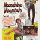 photo du film Moonshine Mountain