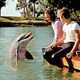 photo du film Les Nouvelles aventures de Flipper le dauphin