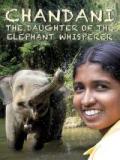 voir la fiche complète du film : Chandani : the daughter of the elephant whisperer