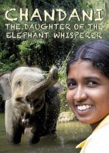 Chandani : the daughter of the elephant whisperer