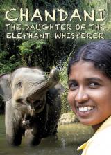 Chandani : The Daughter Of The Elephant Whisperer