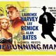 photo du film Le Deuxième homme