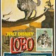 photo du film La légende de Lobo