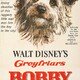 photo du film Bobby des Greyfriars