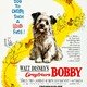photo du film Bobby des Greyfriars