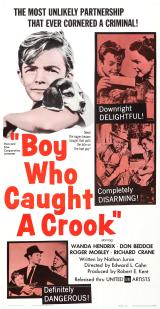 Boy Who Caught a Crook