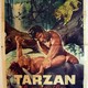 photo du film Tarzan le magnifique