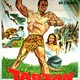 photo du film Tarzan le magnifique
