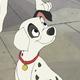 photo du film 101 Dalmatiens 2 : Sur la trace des héros