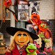 photo du film OPERATION MUPPETS