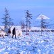 photo du film Enfances nomades