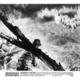 photo du film Le début de la fin