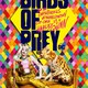 photo du film Birds of Prey (et la fantabuleuse histoire de Harley Quinn)