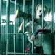 photo du film Birds of Prey (et la fantabuleuse histoire de Harley Quinn)