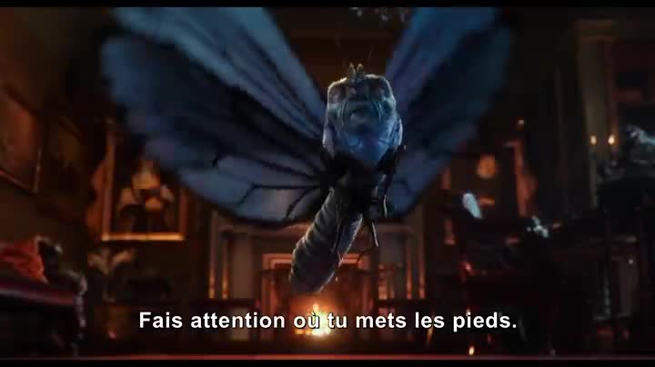 Un extrait du film  Alice de l autre côté du miroir