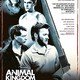 photo du film Animal Kingdom